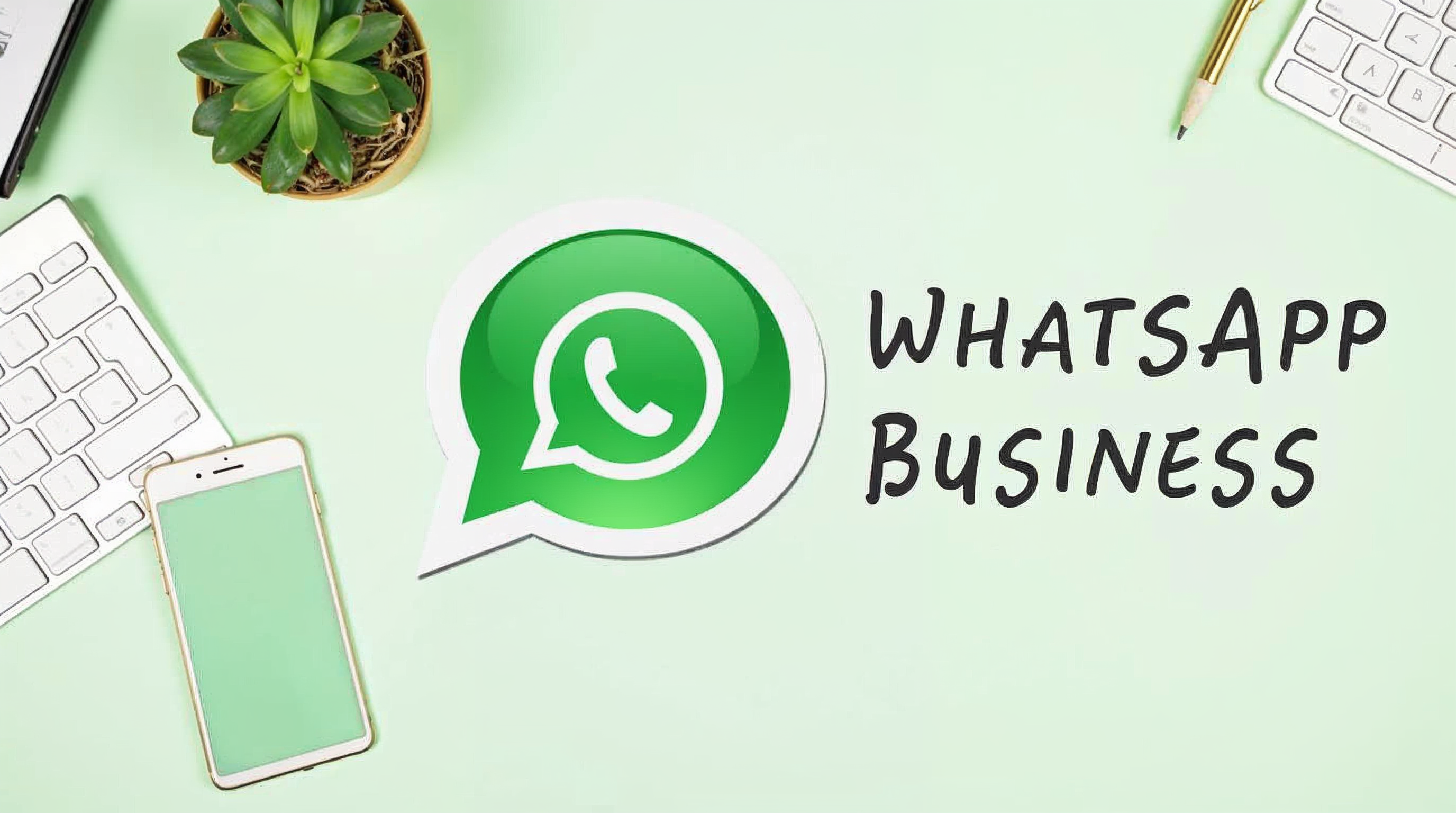 WhatsApp Business au Sénégal : transformer vos contacts en clients fidèles